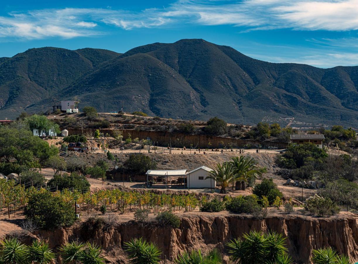 Finca De Lulu Y Jose Ruta Del Vino Вале де Гуадалупе Екстериор снимка
